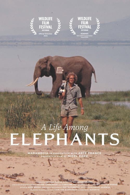 Poster for A Life Among Elephants