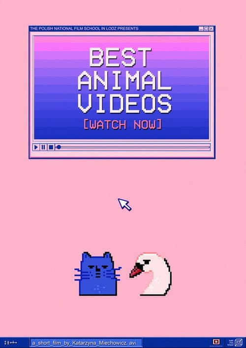 Poster for BEST ANIMAL VIDEOS [WATCH NOW]