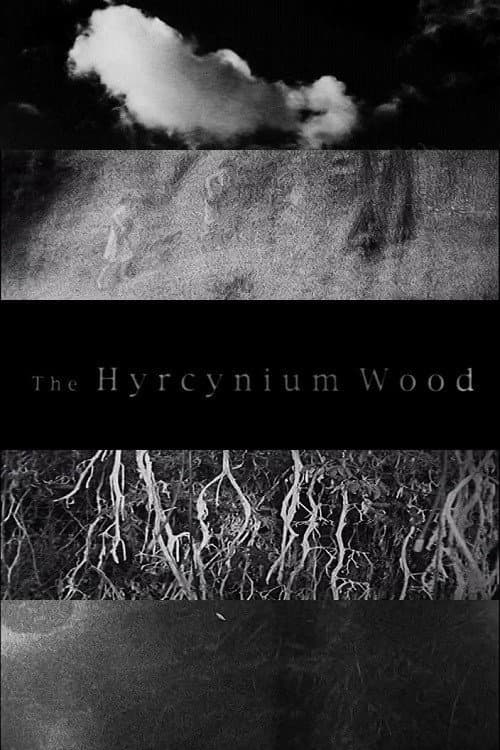 Poster for The Hyrcynium Wood