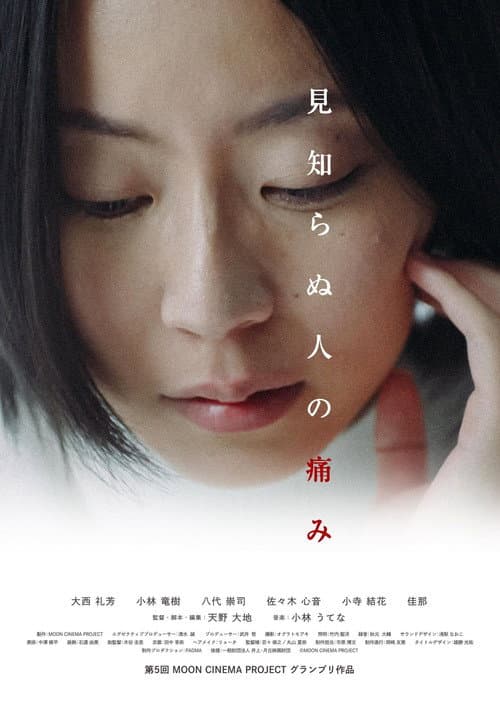 Poster for Pain of The Anonymous