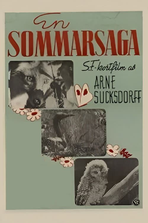 Poster for Summer's Tale