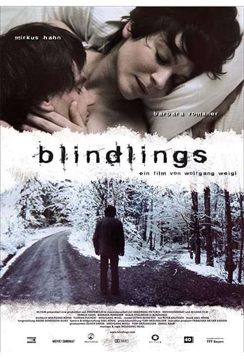 Poster for Blind Spot