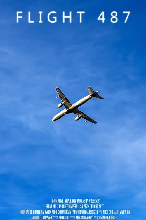 Poster for Flight 487
