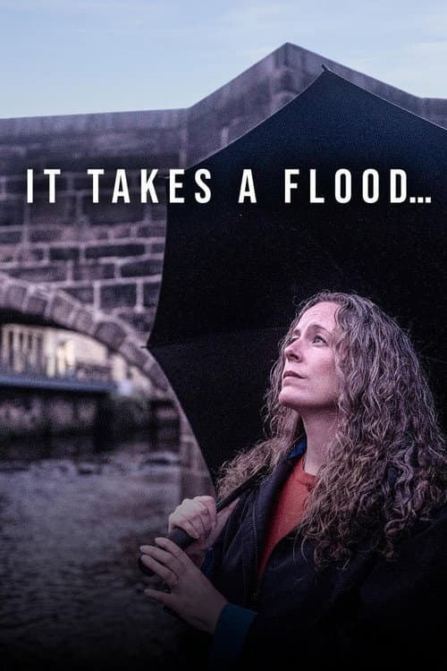 Poster for It Takes a Flood
