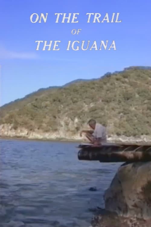 Poster for On the Trail of the Iguana