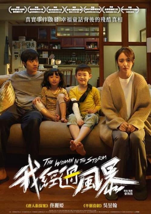 Poster for The Woman in the Storm