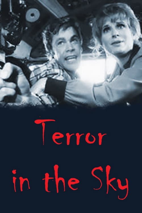 Poster for Terror in the Sky