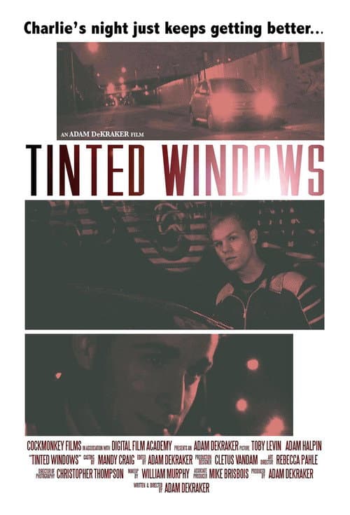 Poster for Tinted Windows