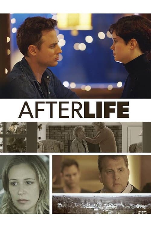 Poster for After Life