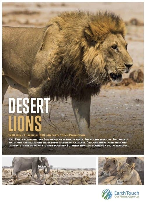 Poster for Desert Lions