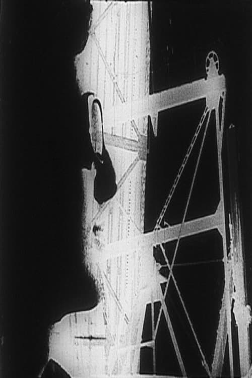 Poster for Metanomen