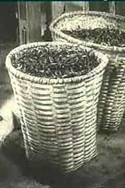 Poster for Ali Chahvadze's Tea