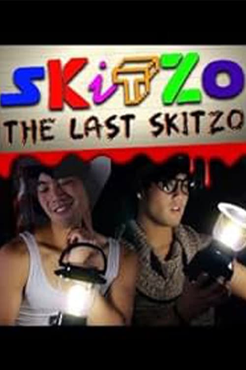 Poster for The Last Skitzo!