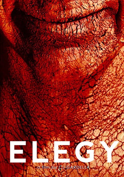 Poster for Elegy