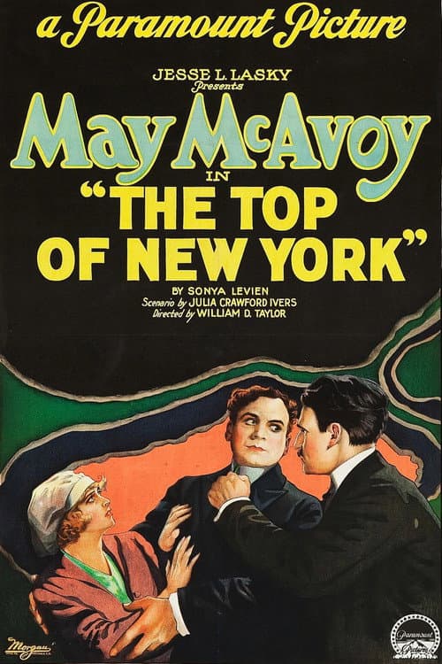 Постер до фільму «The Top of New York»