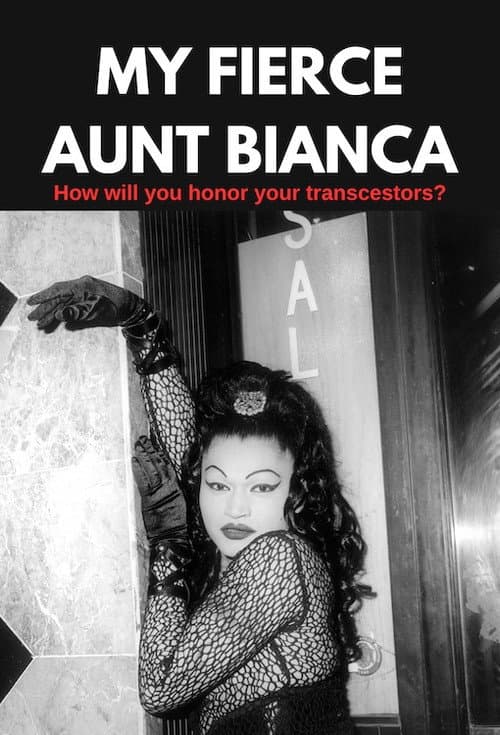 Poster for My Fierce Aunt Bianca