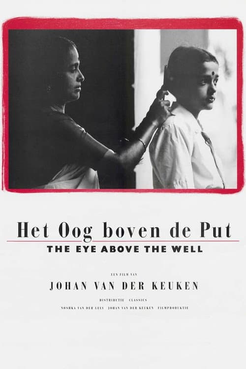 Poster for The Eye Above the Well