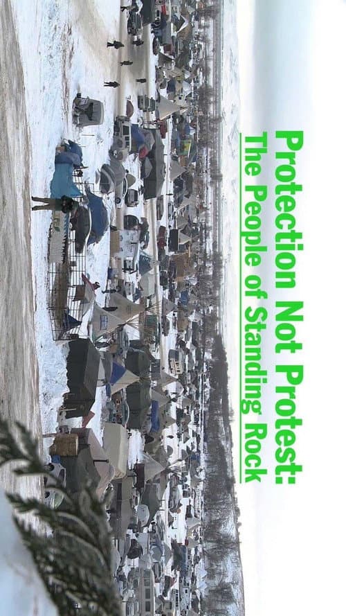 Poster for Protection Not Protest: The People of Standing Rock
