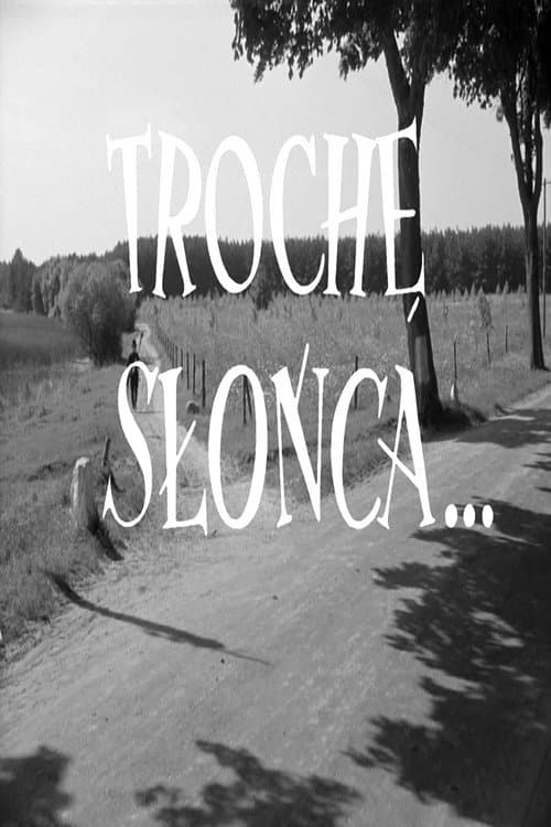 Poster for A Little Sunshine