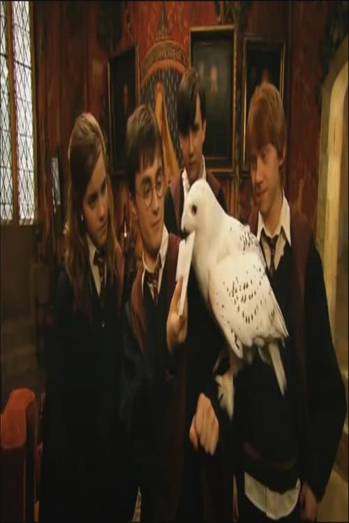 Poster for The Children's Party at the Palace: Harry Potter and the Queen's lost handbag