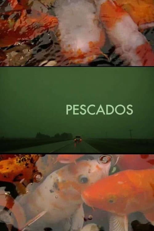 Poster for The Fish