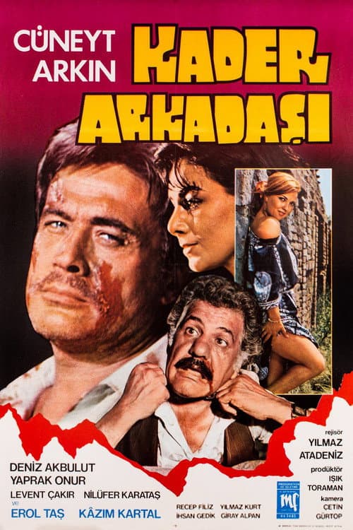 Poster for Kader Arkadaşı