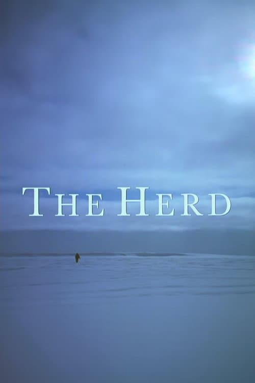 Poster for The Herd