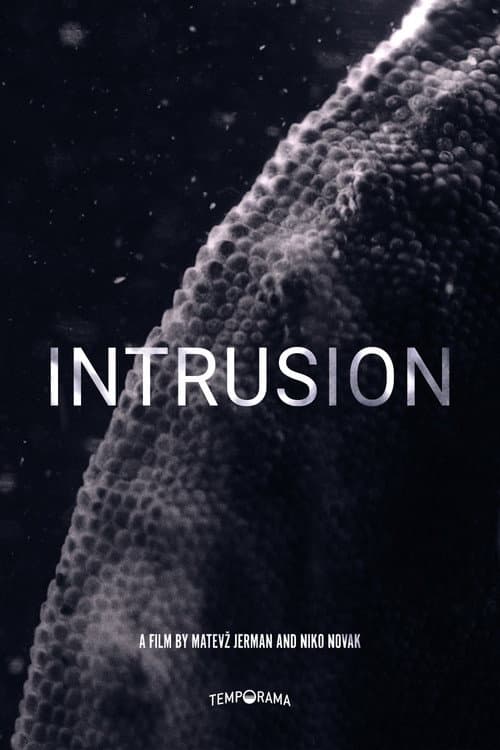Poster for Intrusion