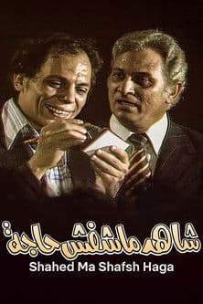 Poster for The Witness Who Didn't See Anything