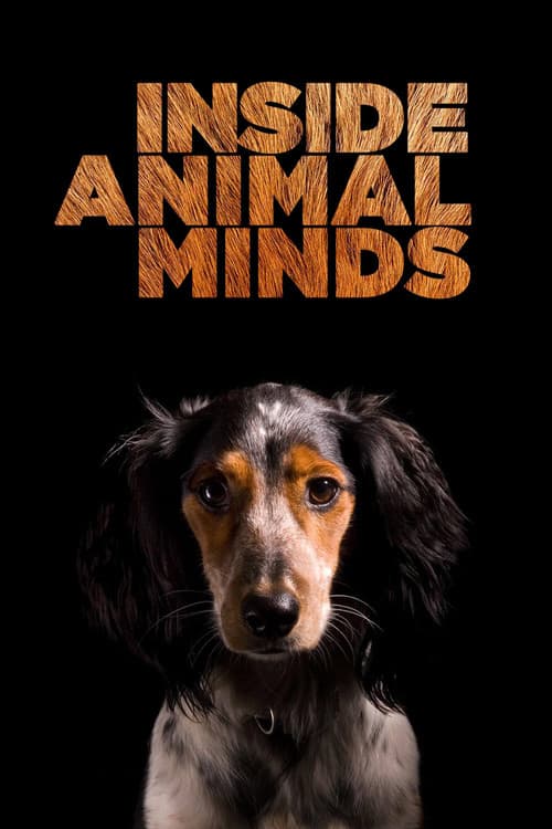 Poster for Inside Animal Minds