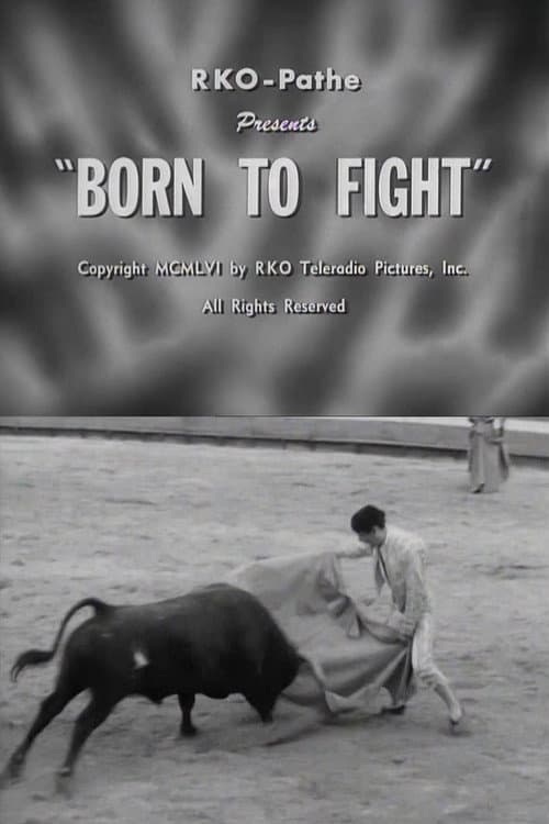 Poster for Born to Fight
