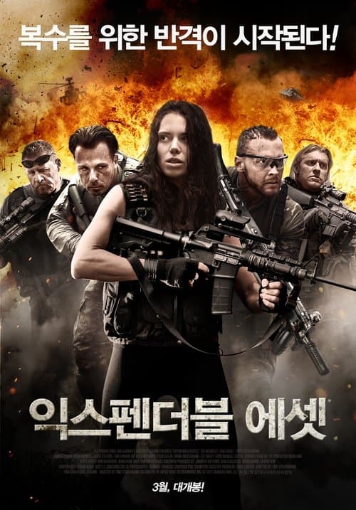 Poster for Expendable Assets