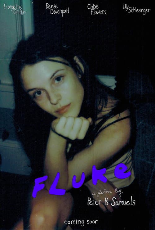 Poster for Fluke