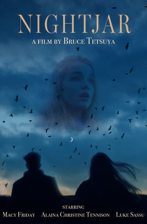 Poster for Nightjar