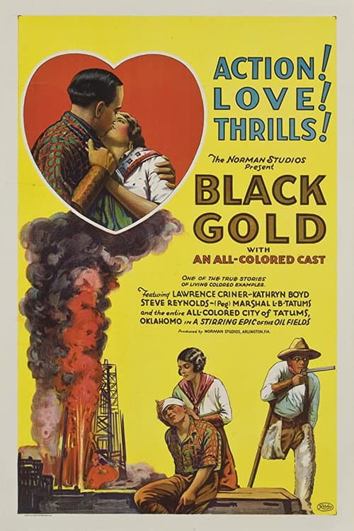 Poster for Black Gold