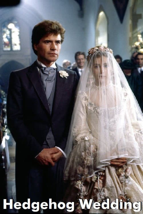 Poster for Hedgehog Wedding