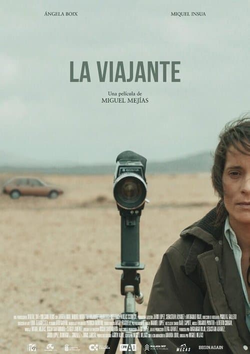 Poster for The Wanderer