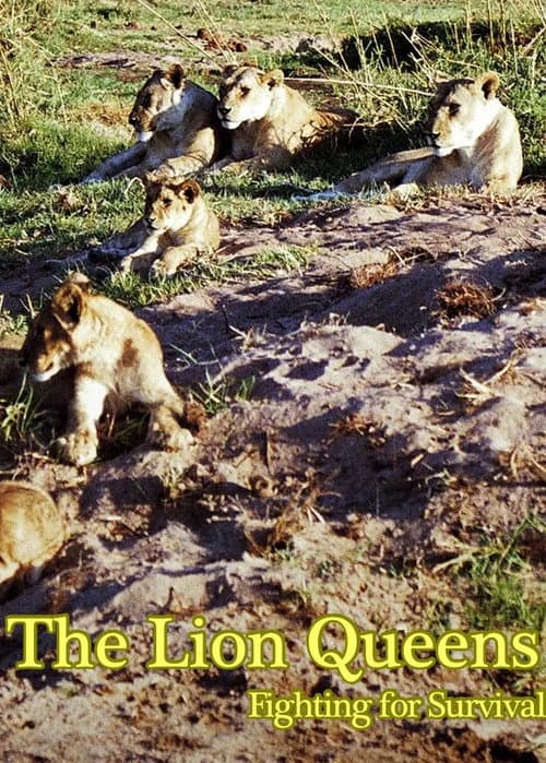 Poster for The Lion Queens: Fighting for Survival