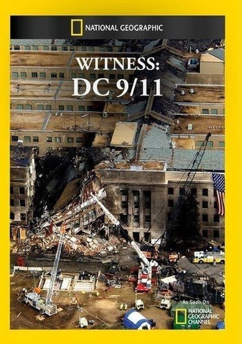 Poster for Witness: DC 9/11