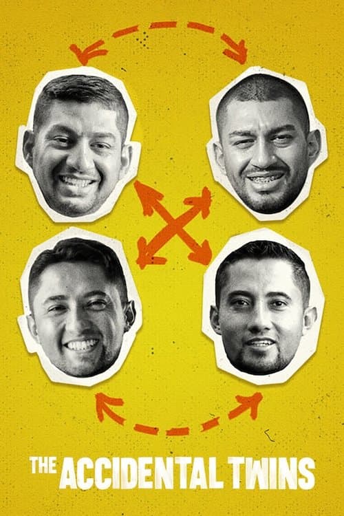 Poster for The Accidental Twins