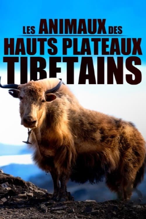 Постер до фільму «Les animaux des hauts plateaux tibétains»
