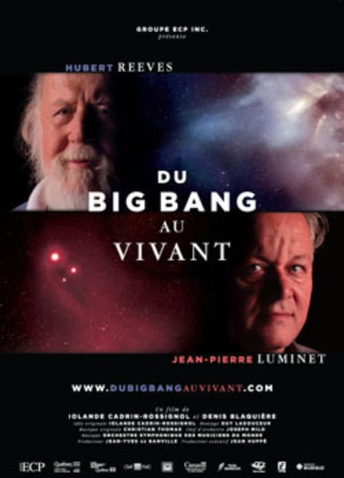 Poster for Du Big Bang au Vivant