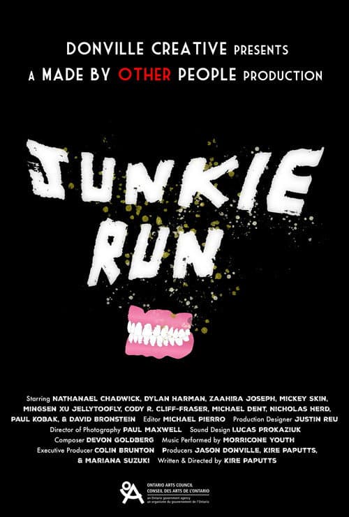 Poster for Junkie Run