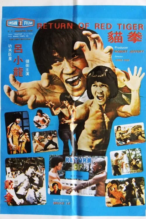 Poster for Return Of Red Tiger