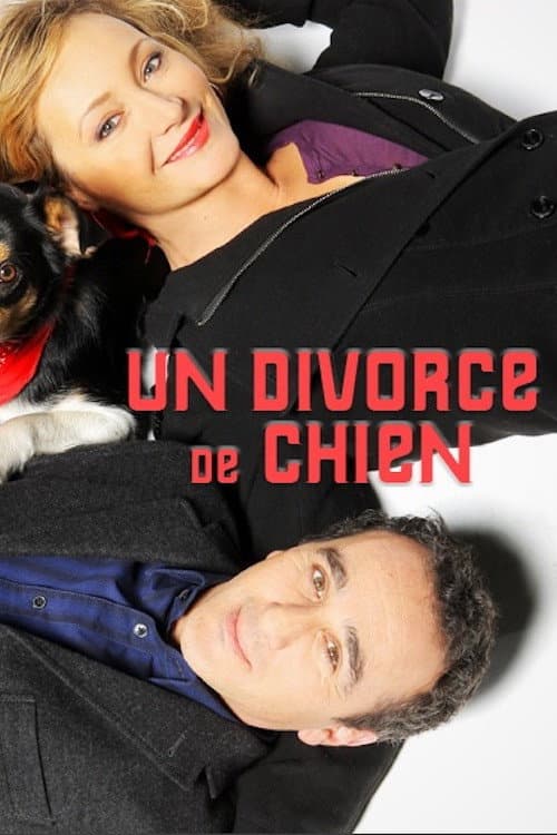 Poster for Un divorce de chien