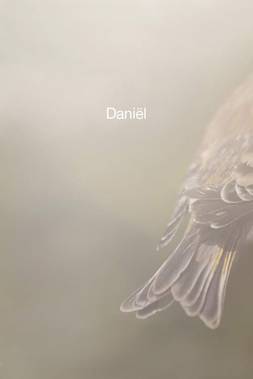 Poster for Daniël