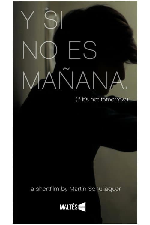 Poster for Y si no es mañana