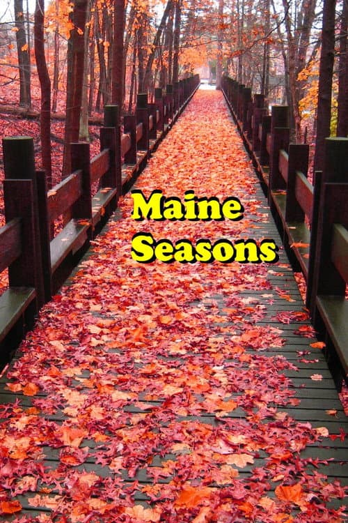 Poster for Maine Seasons