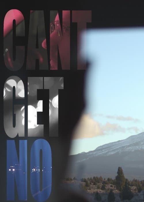 Poster for Cant Get No