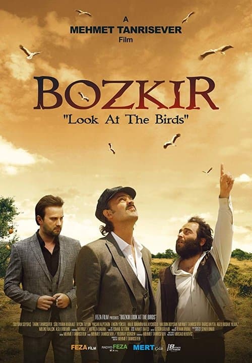 Poster for Bozkir ""Look at the Birds""